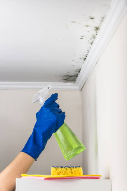 Crawl Space Mold Removal in North Valley Stream, NY